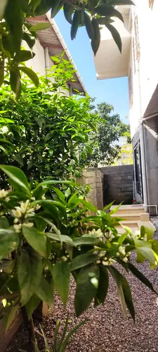 تصویر 12 - خانه شعمدانی در رامسر