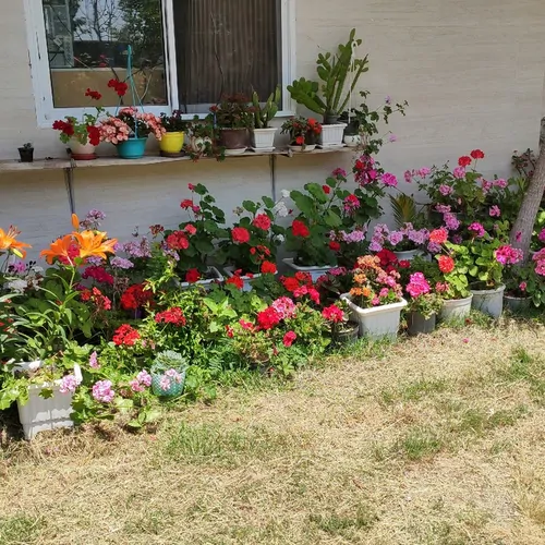 تصویر 13 - ویلا چوبر در  آستارا