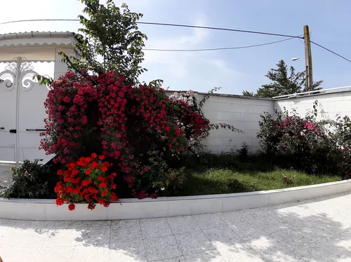 تصویر 9 - ویلا فرشتگان در  چمخاله