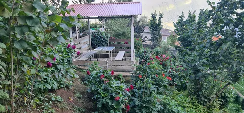 تصویر 25 - آپارتمان کوهستان (واحد۱) در  دوهزارشهسوار