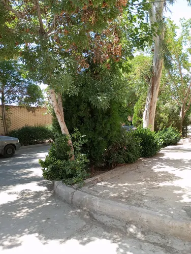 تصویر 9 - آپارتمان مبله شاهد در اصفهان