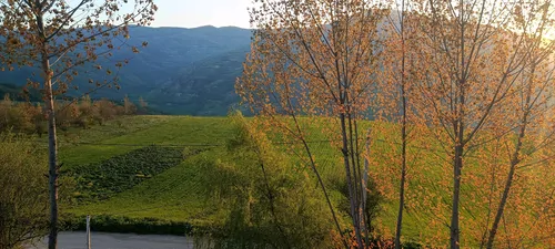 تصویر 4 - کلبه سوئیسی پری ملک در نکا