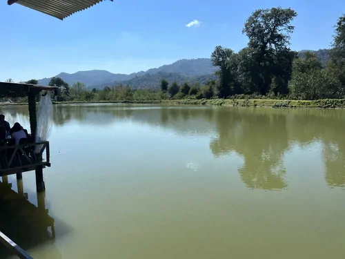 تصویر 19 - ویلا با دیزاین چوب شالیزار در  تالش