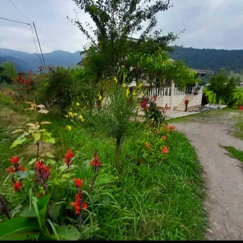 تصویر 4 - ویلا ویلا دوبللکس دوخوابه  روستای مرکیه باچشم انداز جنگل وشالیزار در ماسال