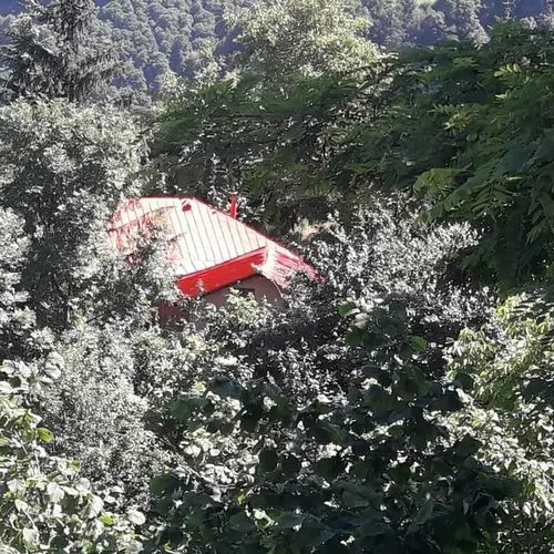 تصویر 16 - ویلا جنگلی فضل در  جواهرده