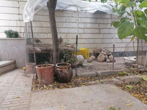 تصویر 4 - ویلا منزلی ویلایی شیک وجکوزی دار در شیراز