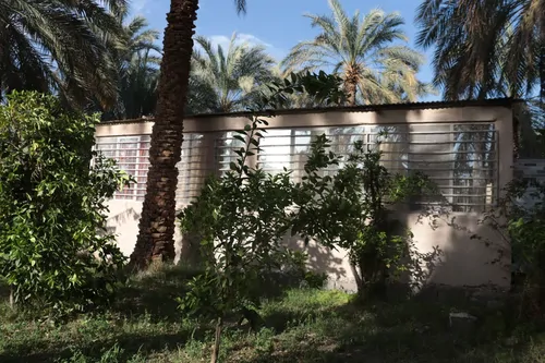 تصویر 2 - ویلا باغ ویلای فردین در بم