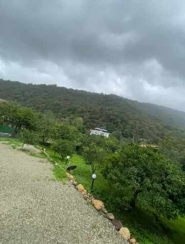 تصویر 25 - کلبه جنگلی الی در  هچیرود