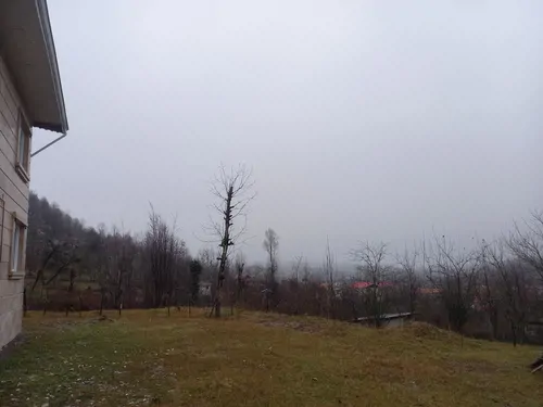 تصویر 2 - آپارتمان ویلا رویایی در دل جنگل در فومن
