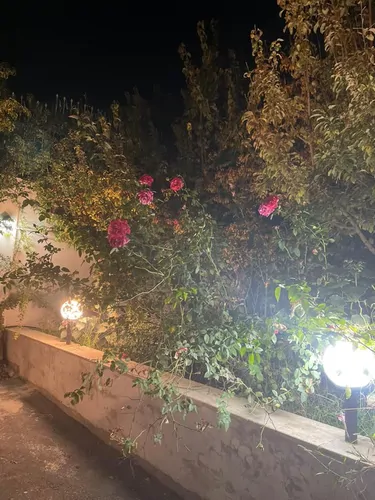 تصویر 4 - ویلا باغ ویلای روژین در پردیس