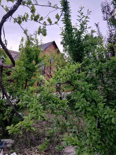 تصویر 16 - ویلا استخردار آبگرم گلخانه با فوتبال دستی در  چهارباغ