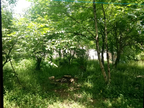 تصویر 9 - ویلا جنگلی جاده ماسوله (واحد 1) در  فومن