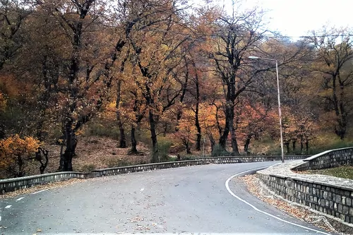 تصویر 5 - ویلا  لاکچری جنگلی  در  آزادشهر