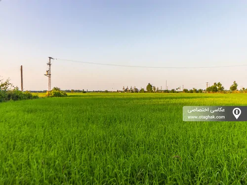 تصویر 3 - ویلا ساحل در  پره‌سر