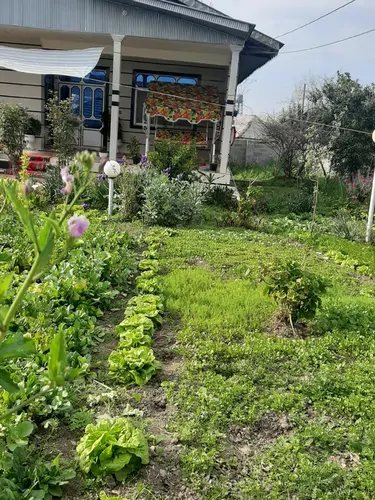 تصویر 33 - ویلا جنگلی خاطره‌ها (۲) در  ماسال