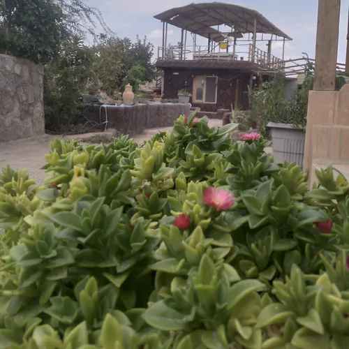 تصویر 9 - اقامتگاه بوم‌گردی سنگی غربالبیز (اتاق 5 VIP) در  مهریز