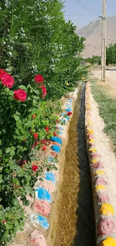 تصویر 3 - ویلا بوم گردی در داراب