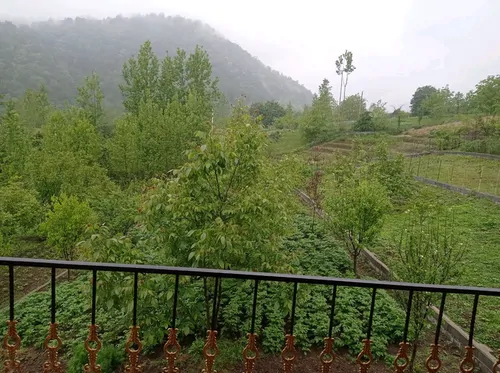 تصویر 16 - ویلا هلنا در شیرگاه