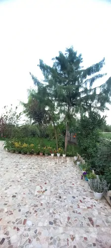 تصویر 22 - ویلا لاکچری قصر سفید  در  ماسال