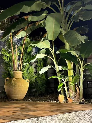 تصویر 30 - ویلا استخردار آبگرم بهشت در  شهسوار