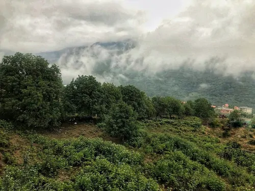 تصویر 16 - ویلا هشت بهشت در نزدیکی فیلبند در  فیلبند