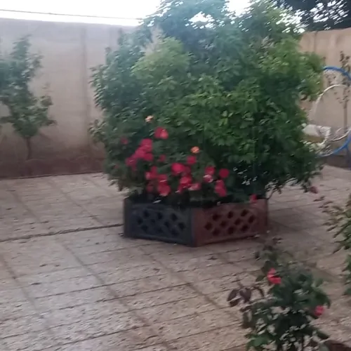 تصویر 5 - ویلا باغچه در  کرج