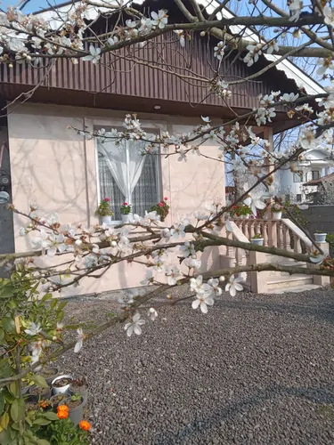 تصویر 18 - ویلا شکوفه بهار در ماسال