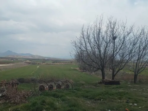 تصویر 13 - روستایی و عشایری پویا در  کامیاران