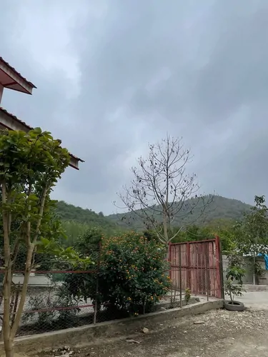 تصویر 16 - کلبه چوبی ماه جهان با فوتبال دستی در  ماسال