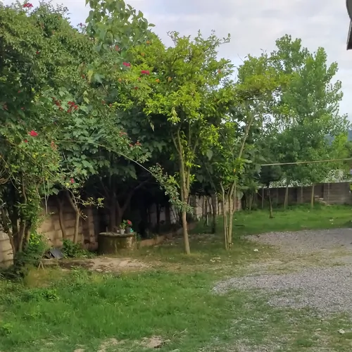 تصویر 14 - ویلا جنگلی موسوی در  فومن