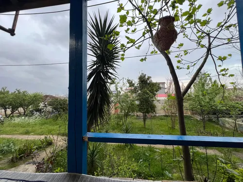 تصویر 10 - روستایی و عشایری کوکو (1) در  تالش