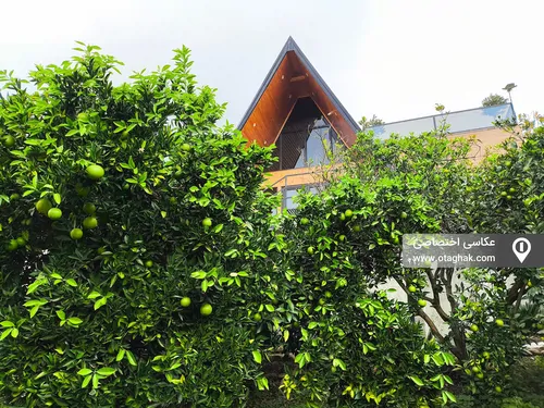 تصویر 31 - ویلا ماه دل در سوادکوه