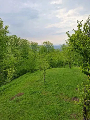 تصویر 19 - کلبه سوئیسی اِسبو در بابل کنار