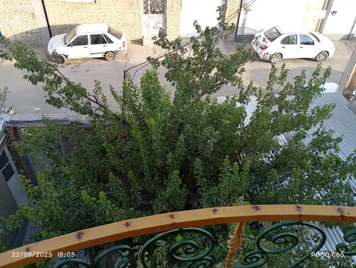 تصویر 5 - آپارتمان ویلایی سرسبز  در  همدان