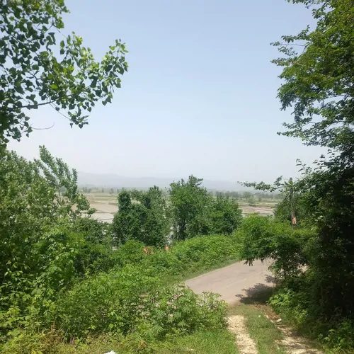 تصویر 2 - کلبه اقامتگاه بومگردی بهادر  در رودبار