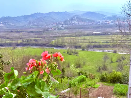 تصویر 20 - کلبه سوئیسی اَبرا در لنگرود