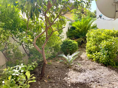 تصویر 18 - ویلا تریپلکس نارنج  در  رامسر