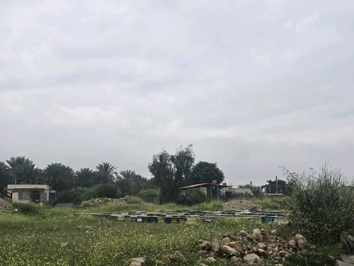 تصویر 2 - کلبه باغ آرامش چسبیده به کوه و نزدیک به دریا با استخر روباز با آب چشمه در دشتی