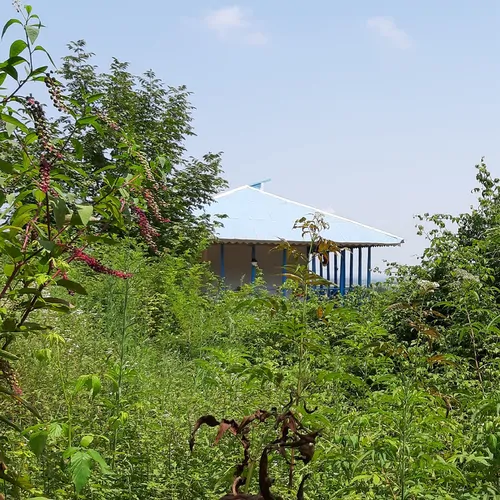 تصویر 45 - کلبه روستایی شولم  در  ماسوله 