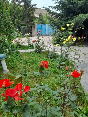 تصویر 9 - ویلا شکوفه در  کلاردشت