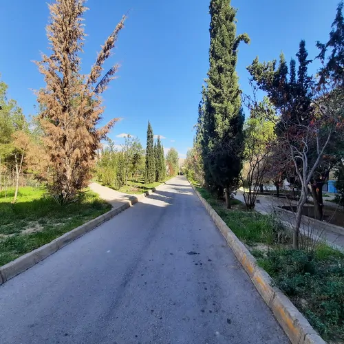 تصویر 8 - آپارتمان ویانا در  شیراز