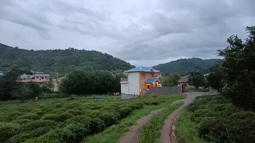 تصویر 2 - ویلا جنگلی مصطفی در املش