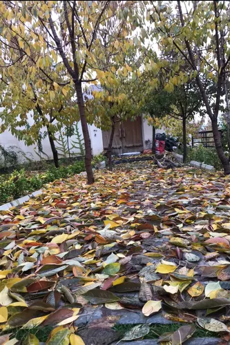 تصویر 4 - سوییت باغ لواسان در تهران