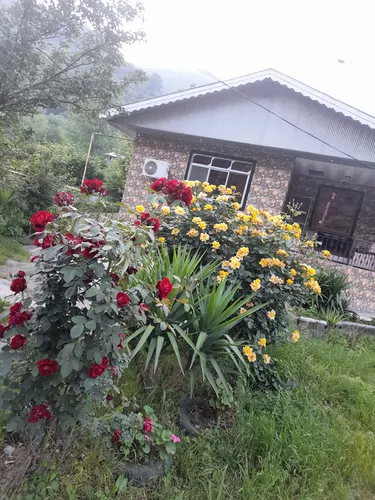 تصویر 2 - ویلا اقامتگاه شیک و و با منظره ی زیبای جنگل های شمال در ماسال