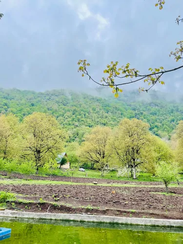 تصویر 31 - کلبه سوئیسی دلنشین در تالش