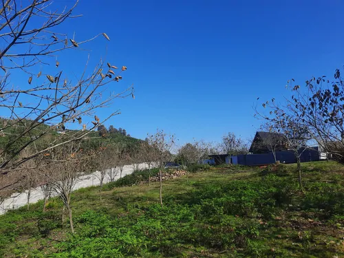 تصویر 16 - کلبه استخردار آبگرم کانیار در  سوادکوه