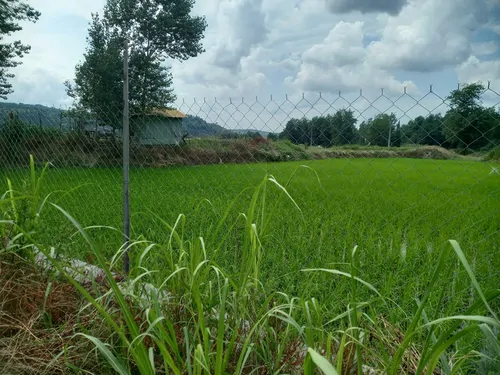 تصویر 11 - خانه روستایی طبیعت در  سوادکوه