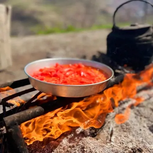 تصویر 29 - اقامتگاه بوم‌گردی چوبی جنگلی لوتک در  فیلبند