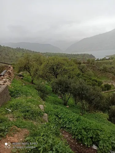 تصویر 4 - مهمانسرا ایلیما در ایذه