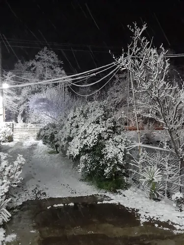 تصویر 4 - ویلا اقامتگاه شیک و و با منظره ی زیبای جنگل های شمال در ماسال